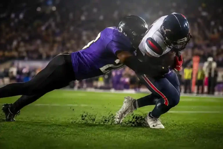 Texans vs Baltimore Ravens Match Player Stats